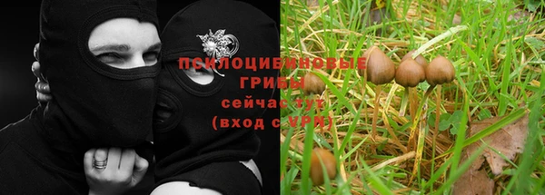 apvp Абдулино