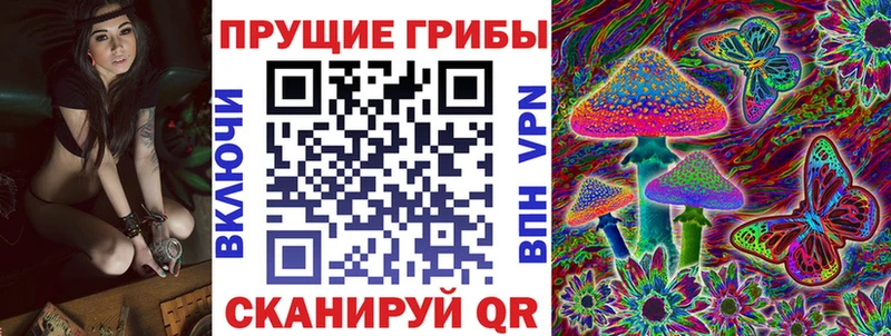 дарнет шоп  Магнитогорск  Галлюциногенные грибы Magic Shrooms 