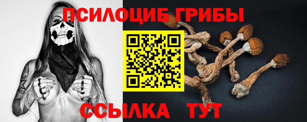 Псилоцибиновые грибы Magic Shrooms  Галлюциногенные грибы Cubensis  Магнитогорск  Вход с VPN 